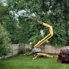 Best Arborist Consultation Services  in Yorktown Heights, NY