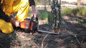 Lawn Irrigation Installation and Maintenance in Yorktown Heights, NY